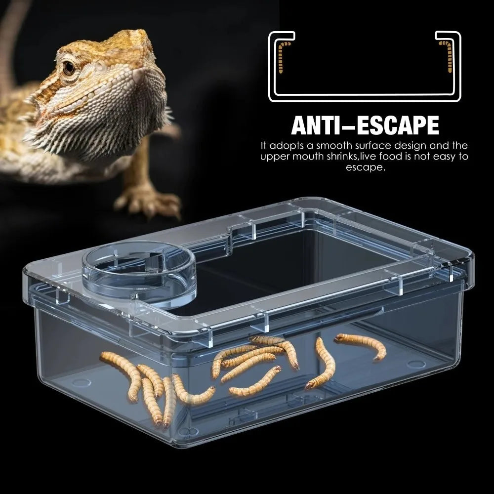 Gamelle Anti-Évasion pour Reptiles – Lézards & Geckos, S/M/L