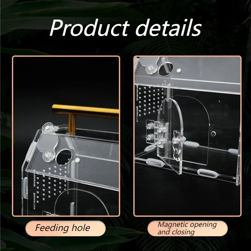 Terrarium Acrylique Portable pour Reptiles – Fermeture Magnétique