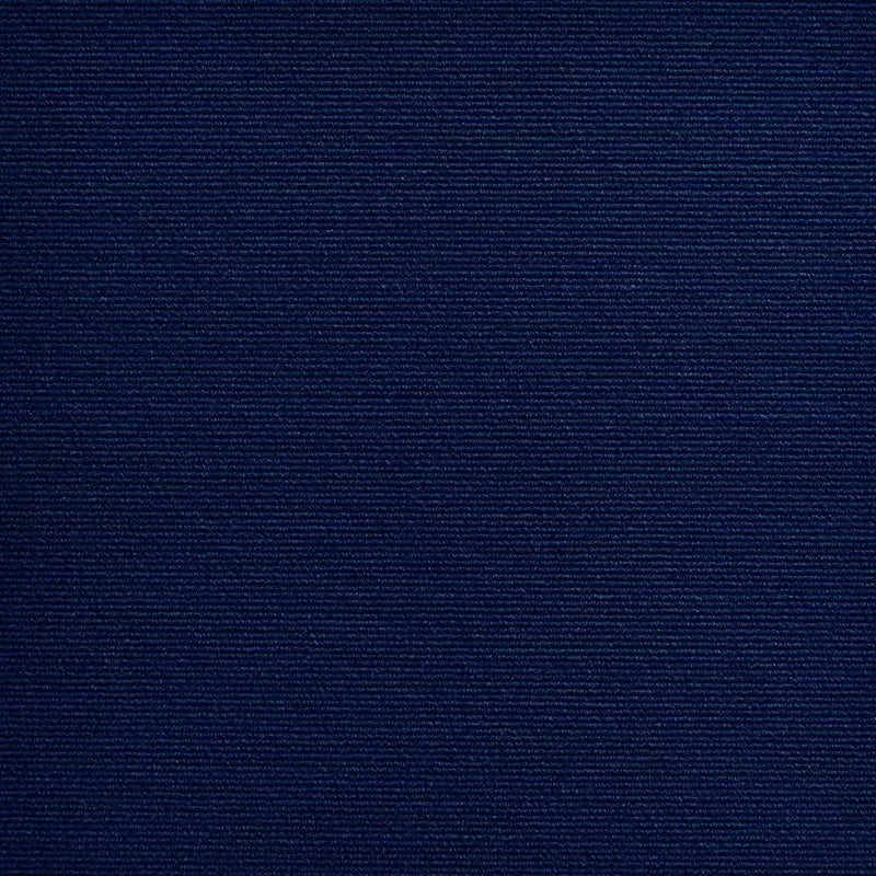Tapis Griffoir Adhésif pour Chat — Protège Meubles, Antidérapant & Multifonction