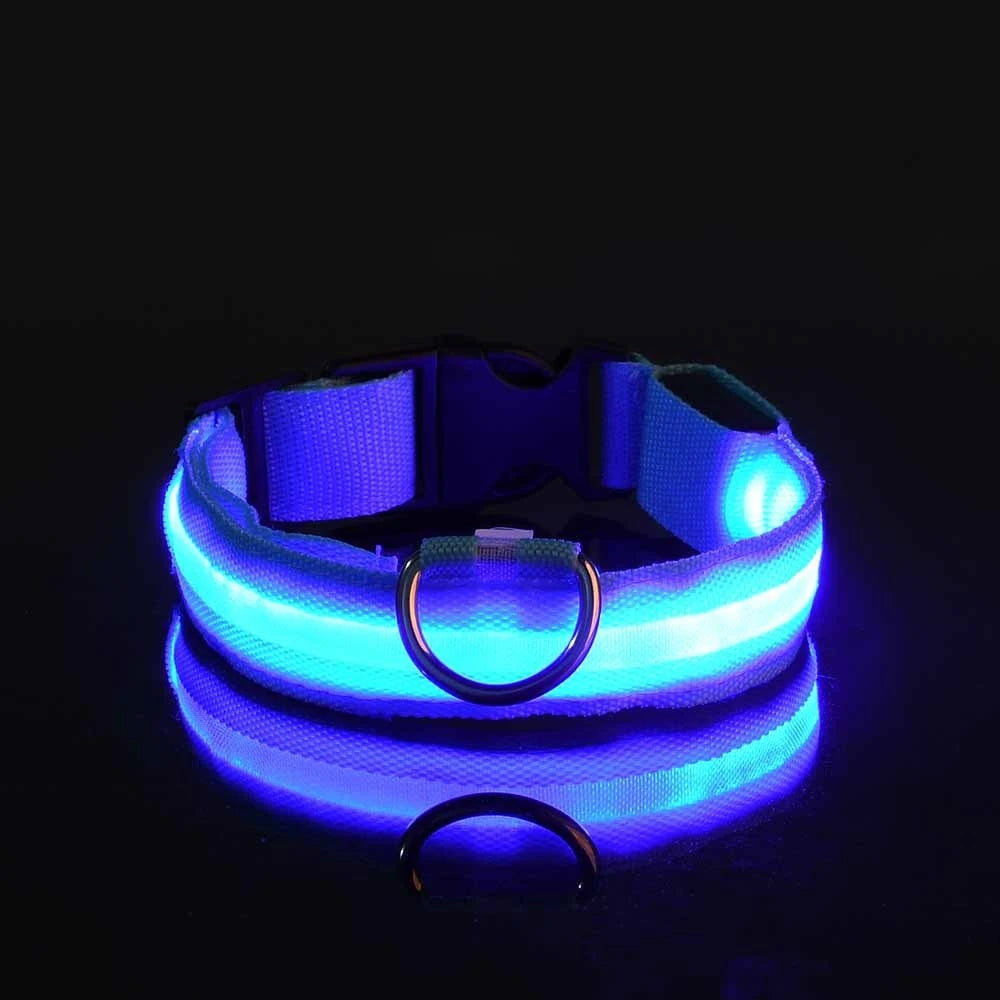 Collier LED Fluorescent pour Chien — Sécurité Nocturne, Nylon, 7 Coloris