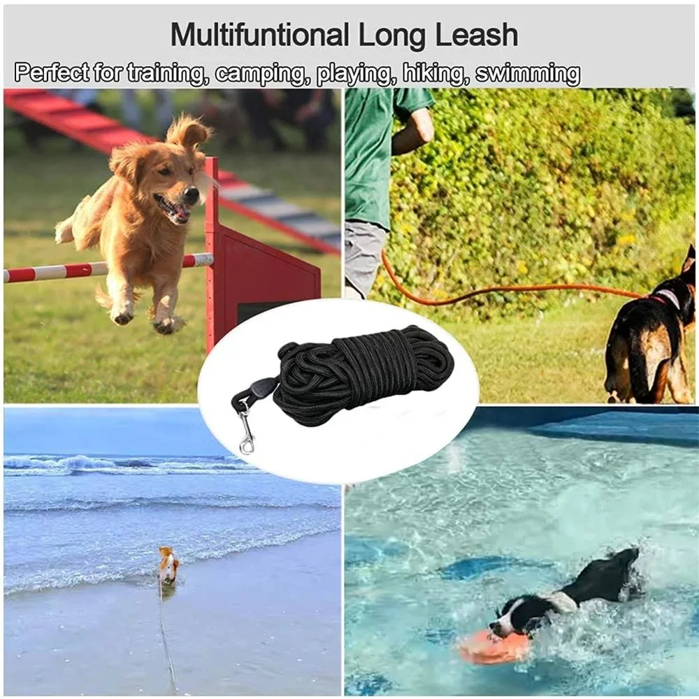 Longue Laisse de Dressage en Nylon pour Chien – 5M / 10M / 15M, Mousqueton Métal
