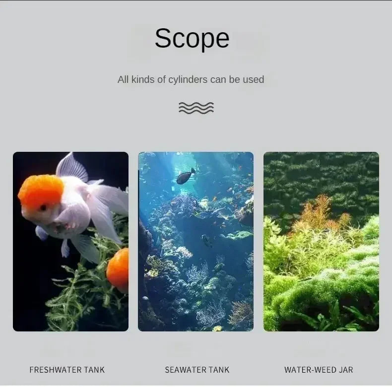 Thermomètre Digital Adhésif pour Aquarium – Affichage LCD Transparent, ±0,1°C, Or / Argent