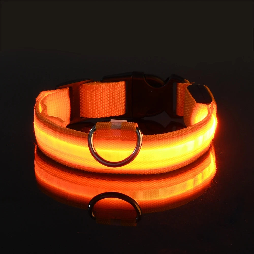 Collier LED Fluorescent pour Chien — Sécurité Nocturne, Nylon, 7 Coloris