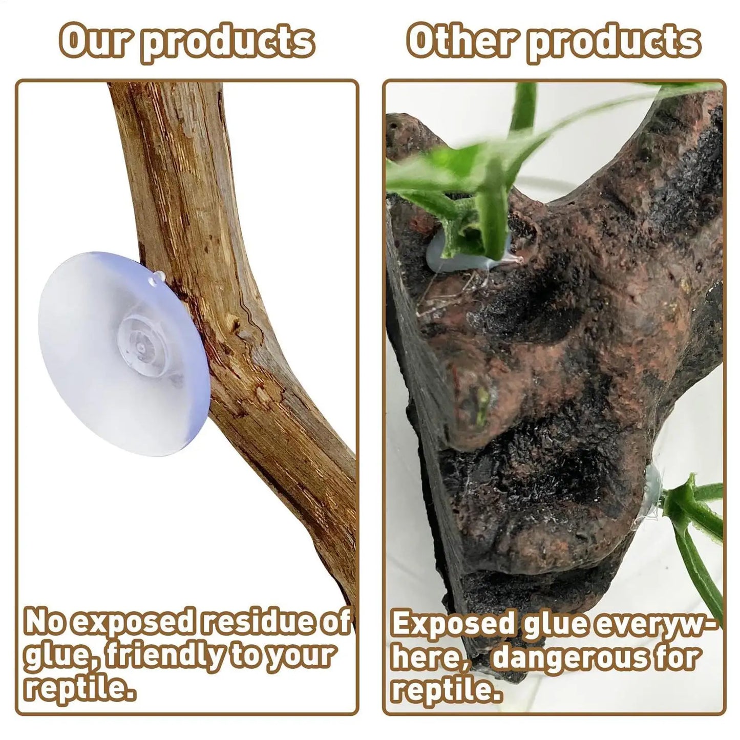 Branche d'Escalade en Bois de Vigne pour Reptiles – Décor Naturel Terrarium