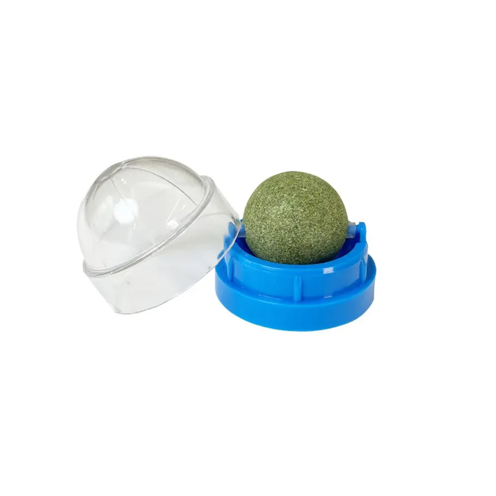Balle Griffoir Murale au Catnip pour Chat — Stimulante & Digestive