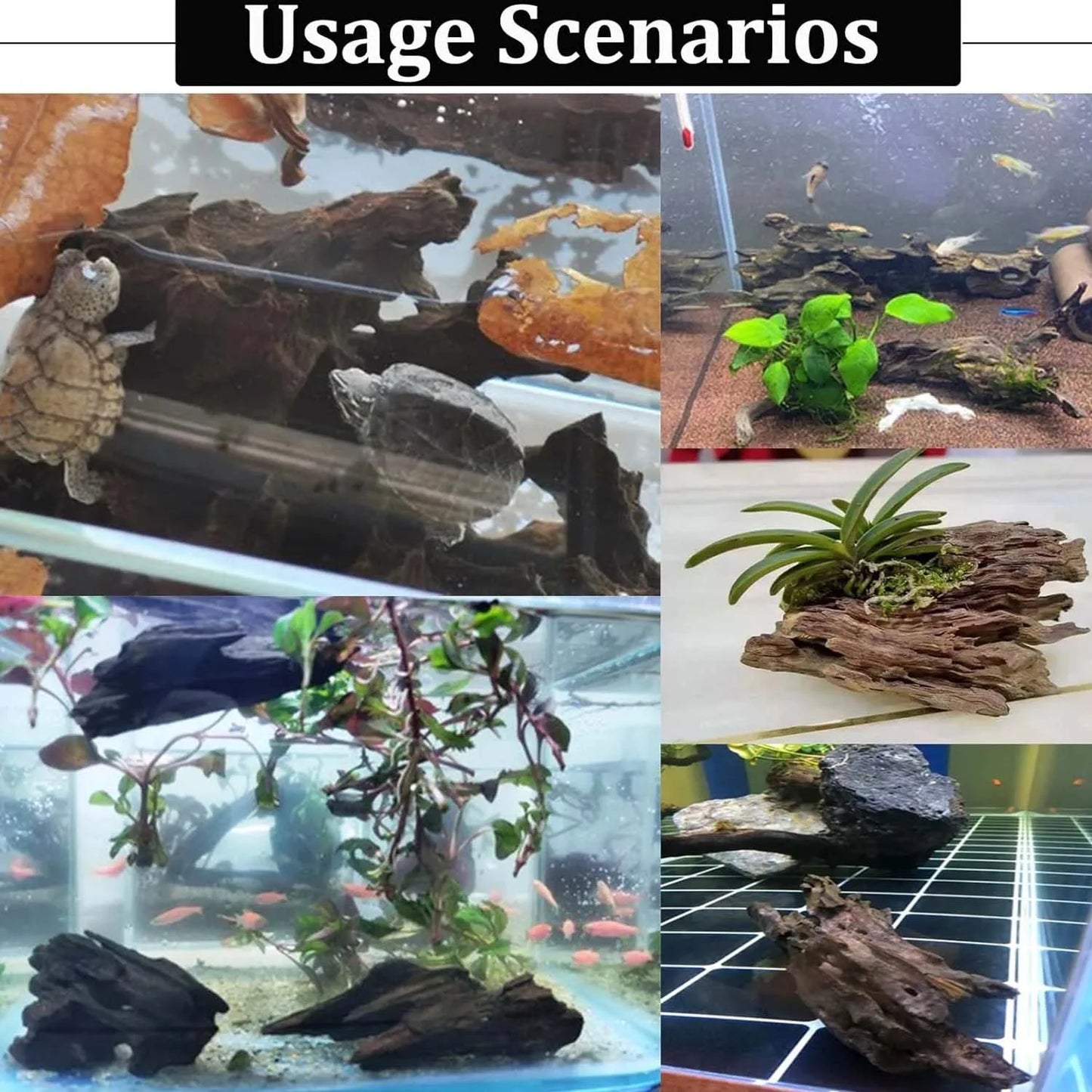 Bois Flotté Naturel Poreux pour Aquarium & Terrarium – Décoration Crevettes & Crabes, 10-20 cm