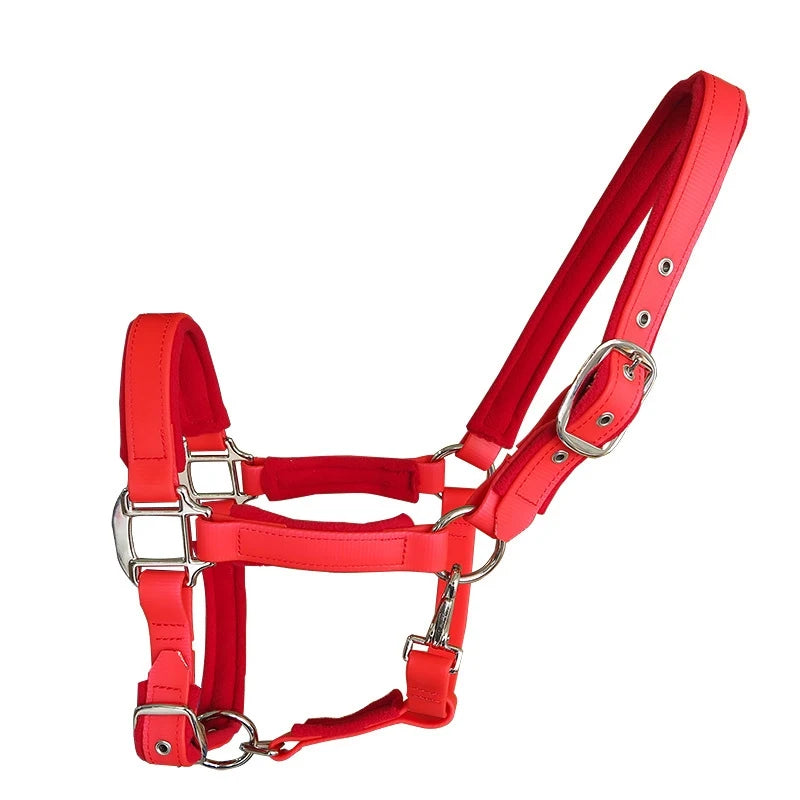 Licou rembourré en PVC souple pour cheval – Ergonomique et confortable (XS à L)