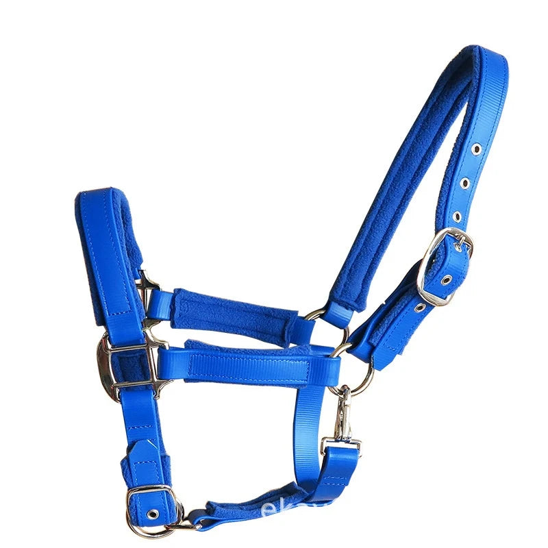 Licou rembourré en PVC souple pour cheval – Ergonomique et confortable (XS à L)