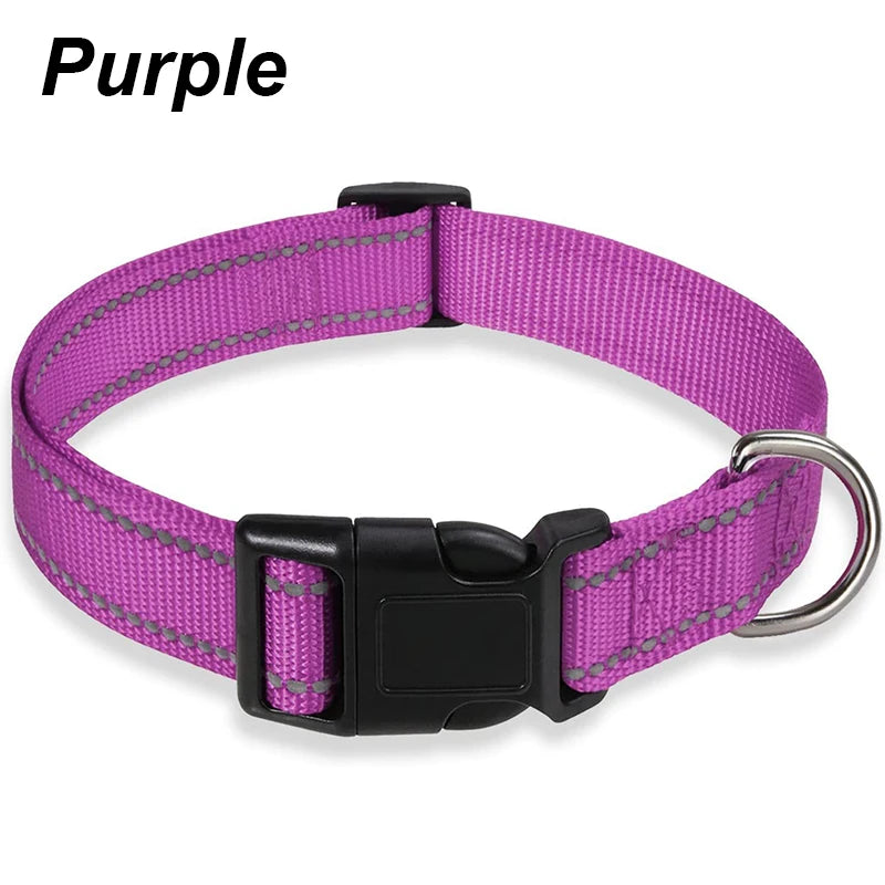 Collier Réfléchissant en Nylon pour Chien – Réglable, Visible de Nuit, 7 Couleurs, S à XL