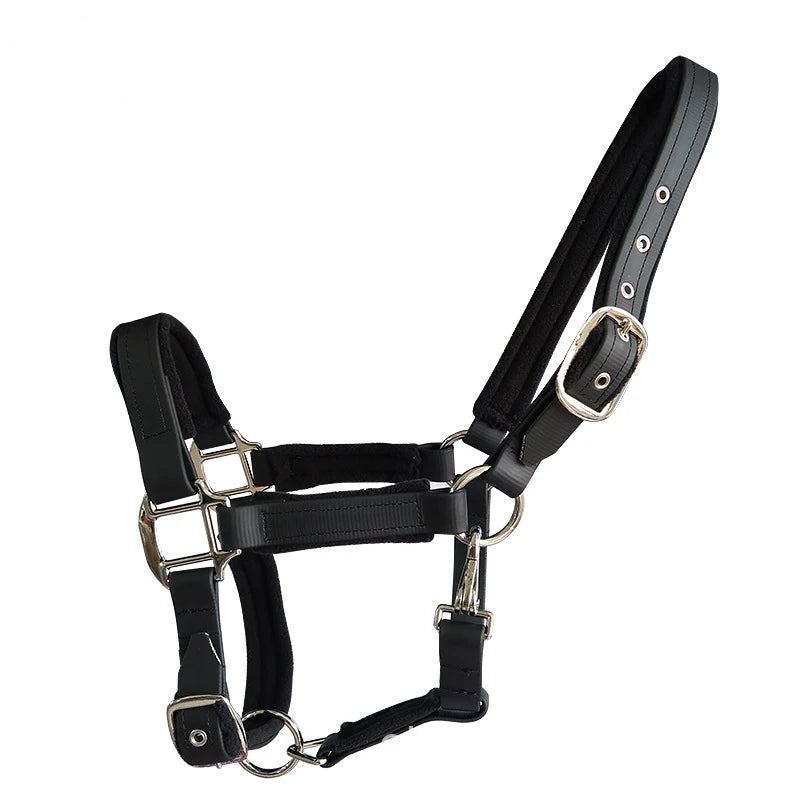 Licou rembourré en PVC souple pour cheval – Ergonomique et confortable (XS à L)
