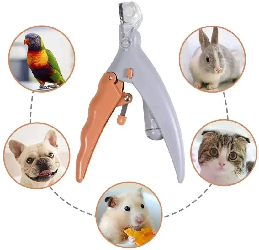 Coupe-Ongles LED pour Chat & Chien – Lumière Anti-Saignement