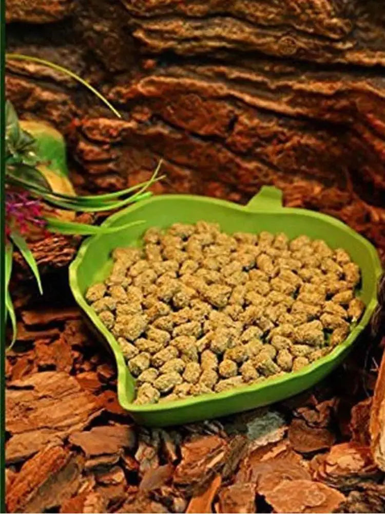 Bol de nourriture en forme de feuille pour reptiles