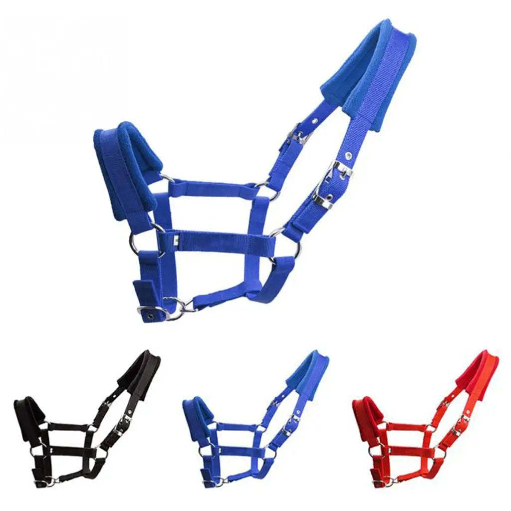 Licol Rembourré en Nylon pour Cheval & Poney – Double Polaire, Réglable, S / M / L
