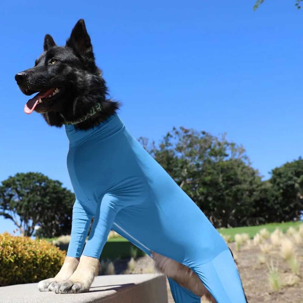 Combinaison pour Chien – Élasthanne, Anti-Perte de Poils, Convalescence, S à XXL