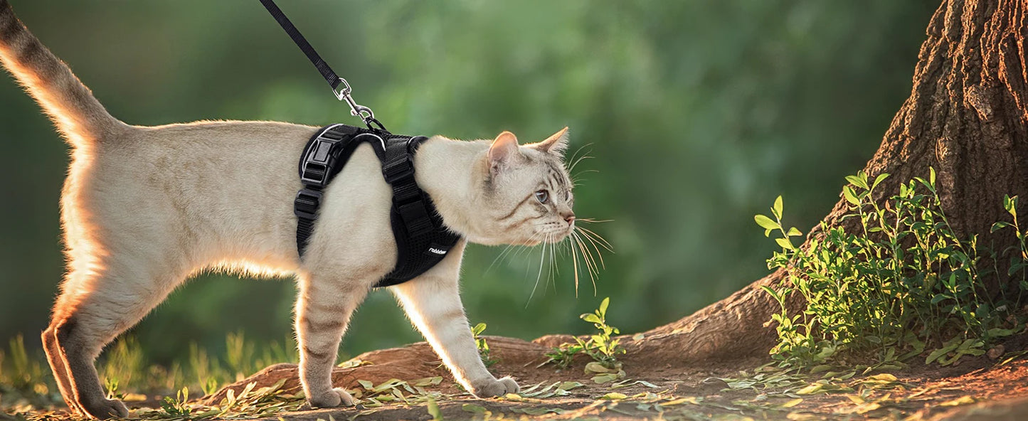 Kattenharnas en -riem, zacht en verstelbaar ontsnappingsbestendig vesttuigje voor katten, EasyControl
