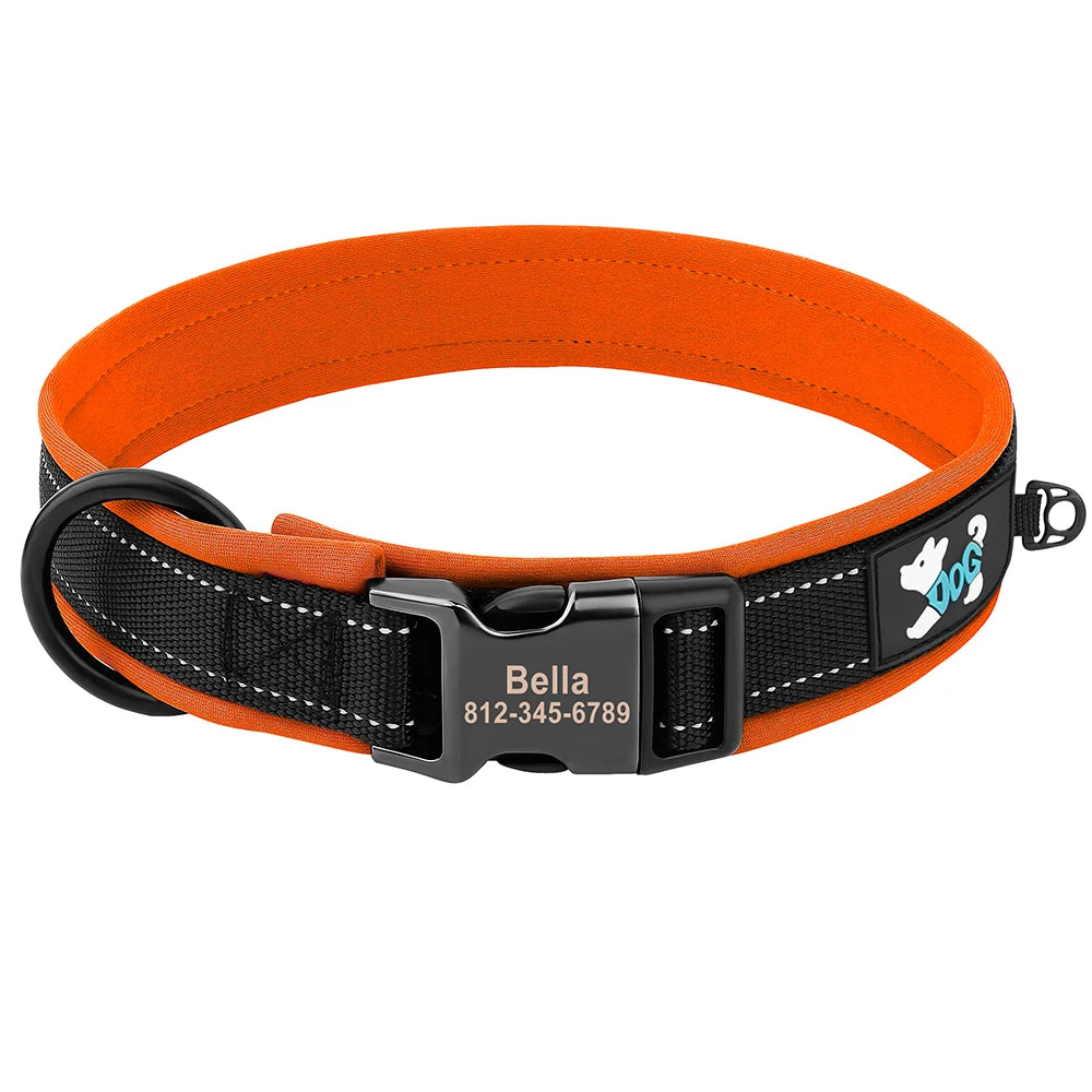 Collier pour Chien Personnalisable | Réfléchissant, Rembourré & Médaille Gravée Offerte