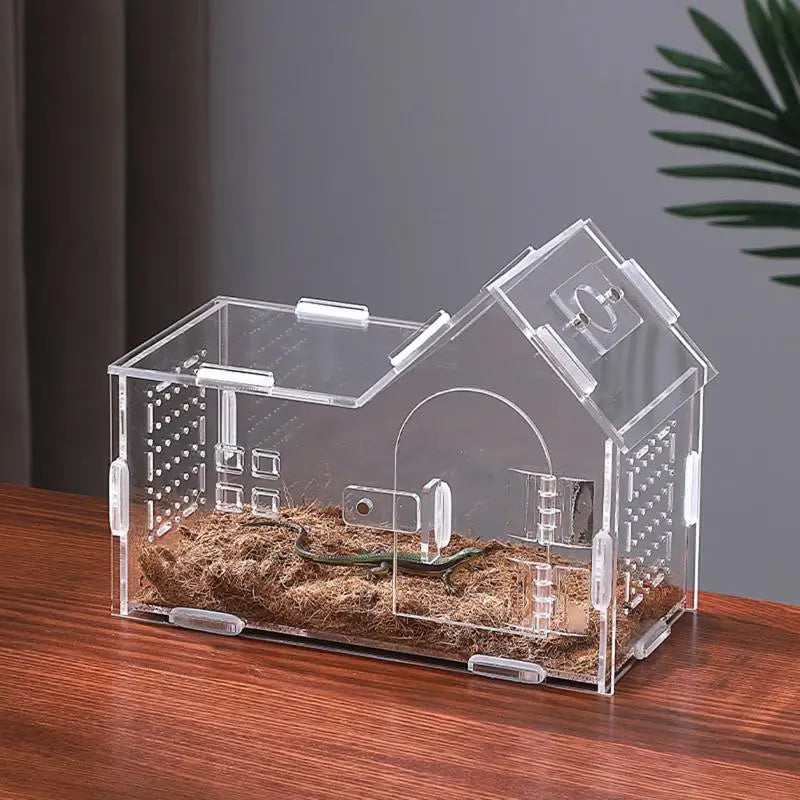 Boîte d'Élevage en Acrylique pour Reptiles – Terrarium Transparent