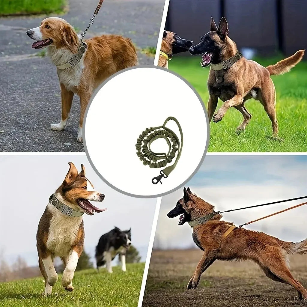 Laisse Tactique Nylon pour Grand Chien – Réglable 105-145 cm, Détachement Rapide, Anti-Rupture