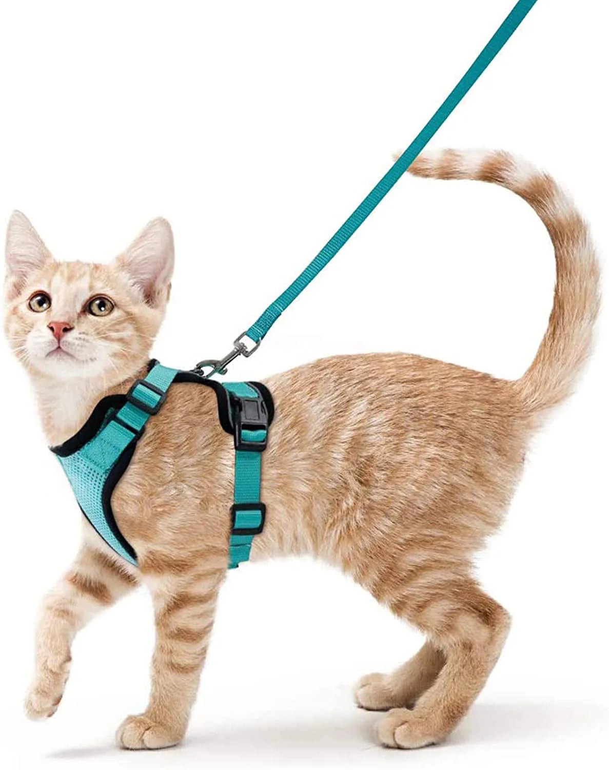 Kattenharnas en -riem, zacht en verstelbaar ontsnappingsbestendig vesttuigje voor katten, EasyControl