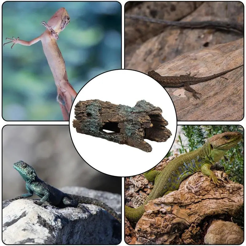 Grotte Cachette pour Reptiles – Décor Naturel pour Terrarium
