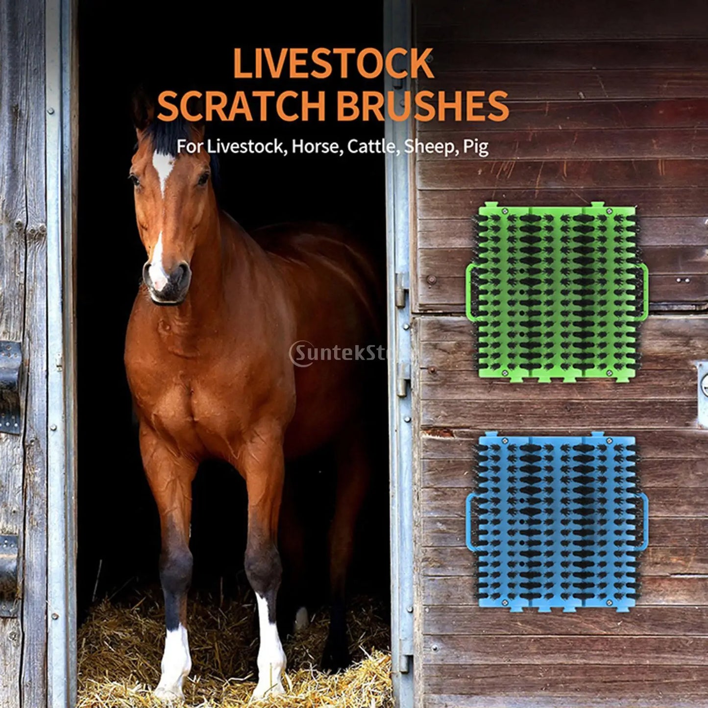 Brosse de pansage multifonctionnelle pour chevaux