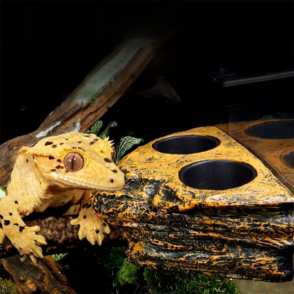 Rebord d'Alimentation Magnétique pour Reptiles – Simple ou Double