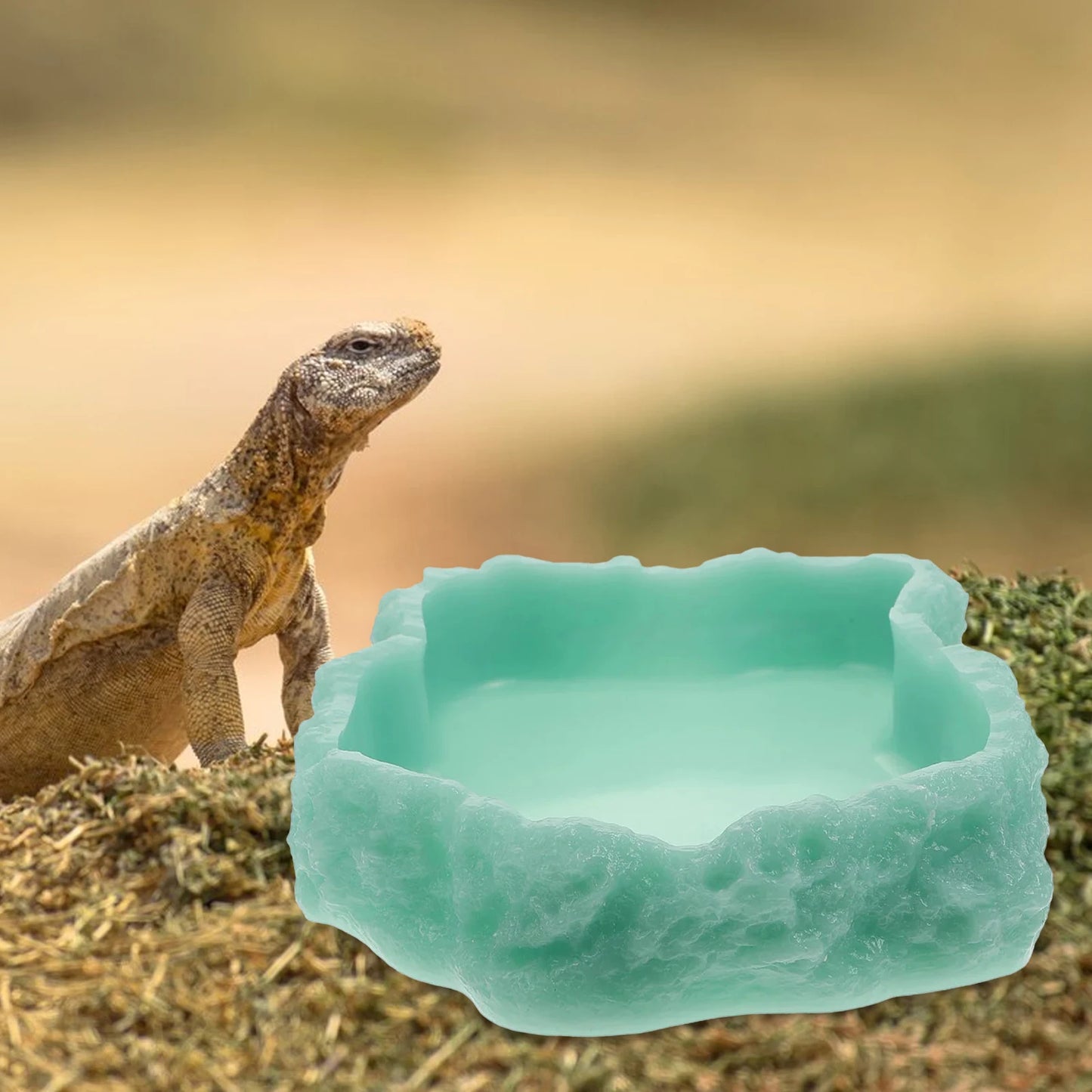 Gamelle en Résine Imitation Roche pour Reptiles & Amphibiens – Eau & Nourriture, XS à L