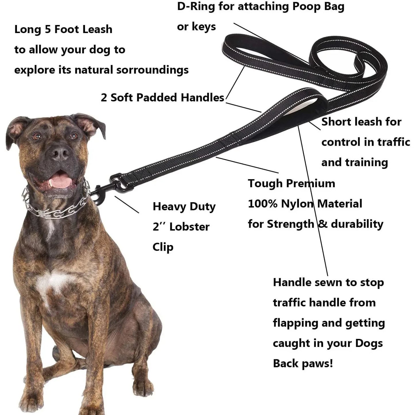 Laisse chien double poignée réfléchissante – Nylon robuste, L 150 cm & XL 180 cm