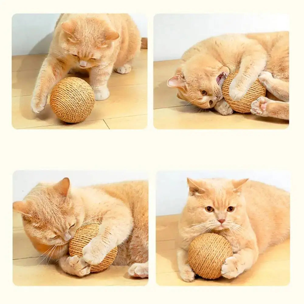 Balle à griffer interactive en sisal pour chatons, jouet anti-morsure, 10 cm, super grosse balle sonore pour chats, accessoires pour animaux de compagnie