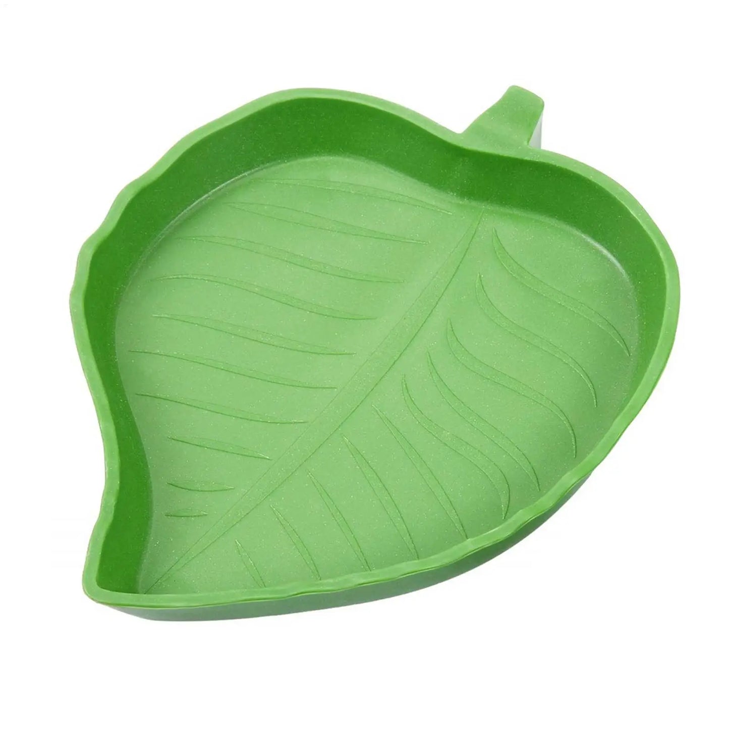 Gamelle en Forme de Feuille pour Reptiles – Eau & Nourriture, PP, S / L