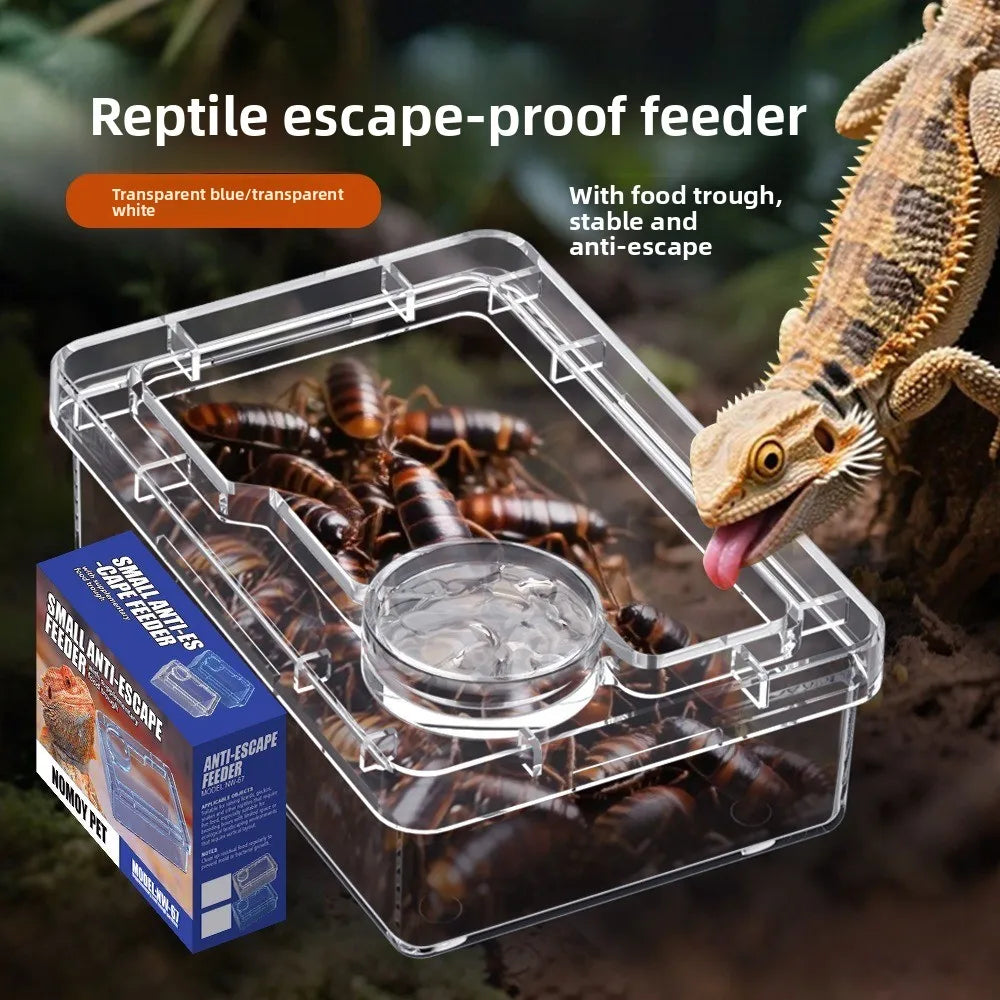 Gamelle Anti-Évasion pour Reptiles – Lézards & Geckos, S/M/L
