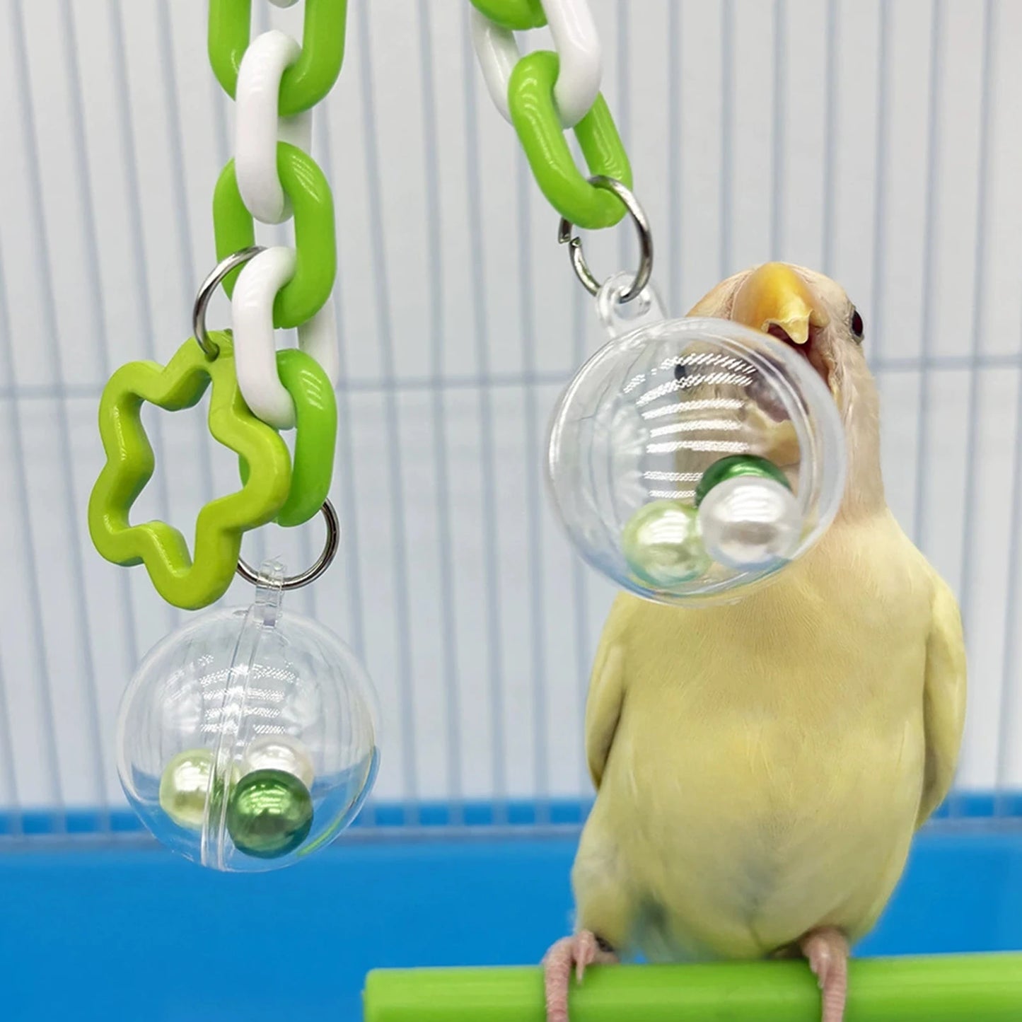 Jouet Suspendu à Perles pour Perroquet & Petit Oiseau – À Mordre & Grimper