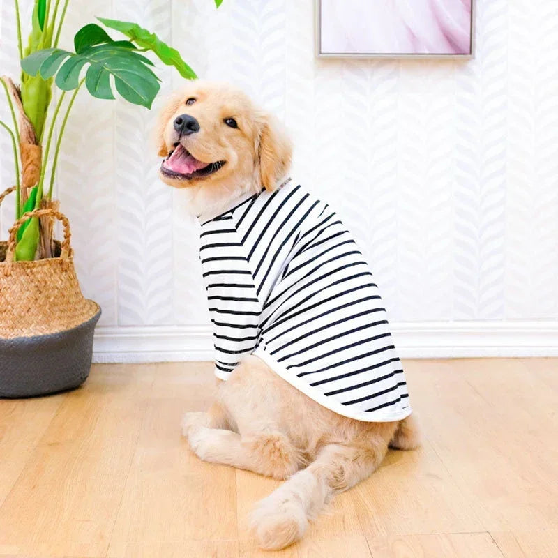 Vêtement d'Été pour Grand Chien – T-shirt & Débardeur