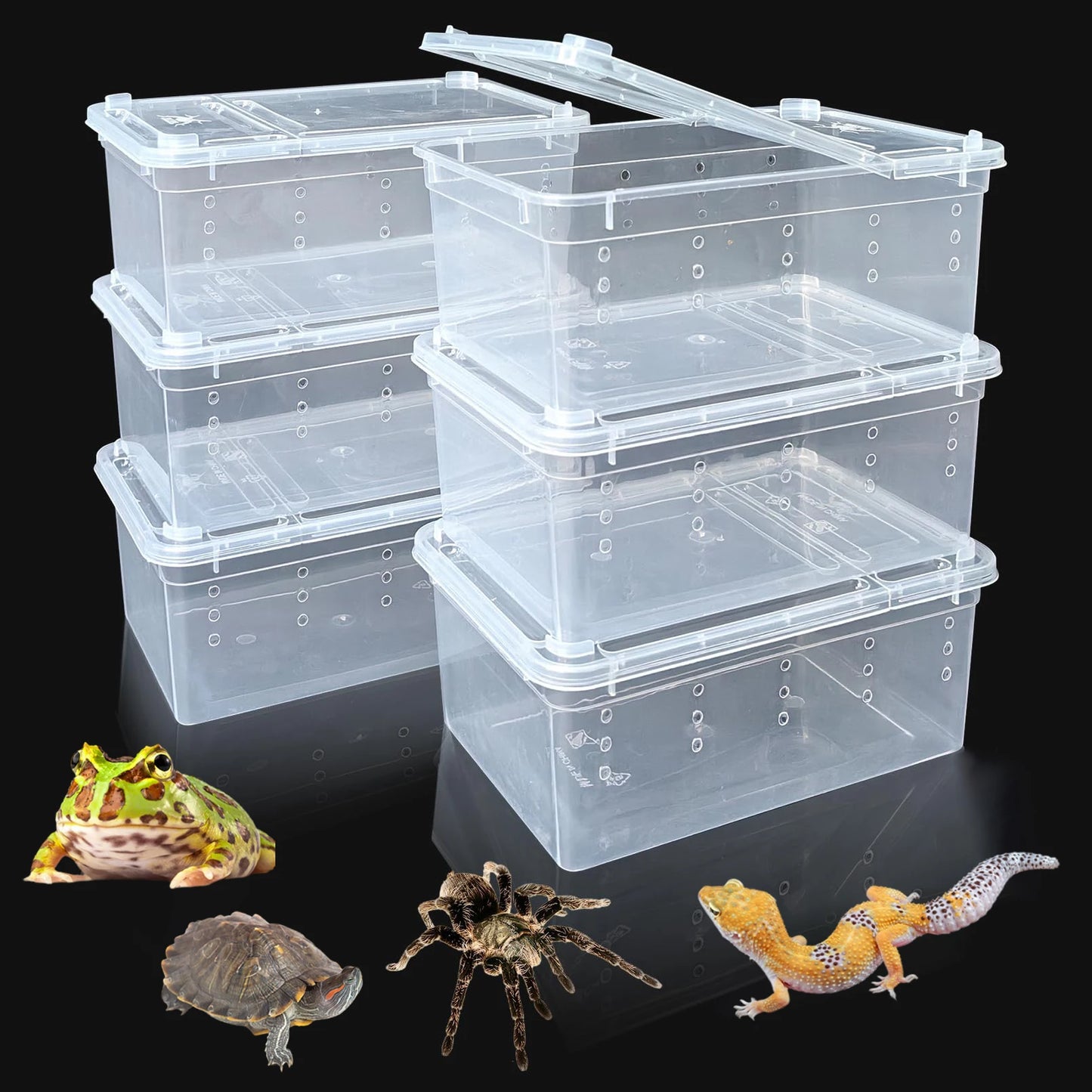 Terrarium en plastique pour Reptile, récipient de transport pour lézards, geckos, serpents, araignées, scorpions, coléoptères, mille-pattes, 6 pièces