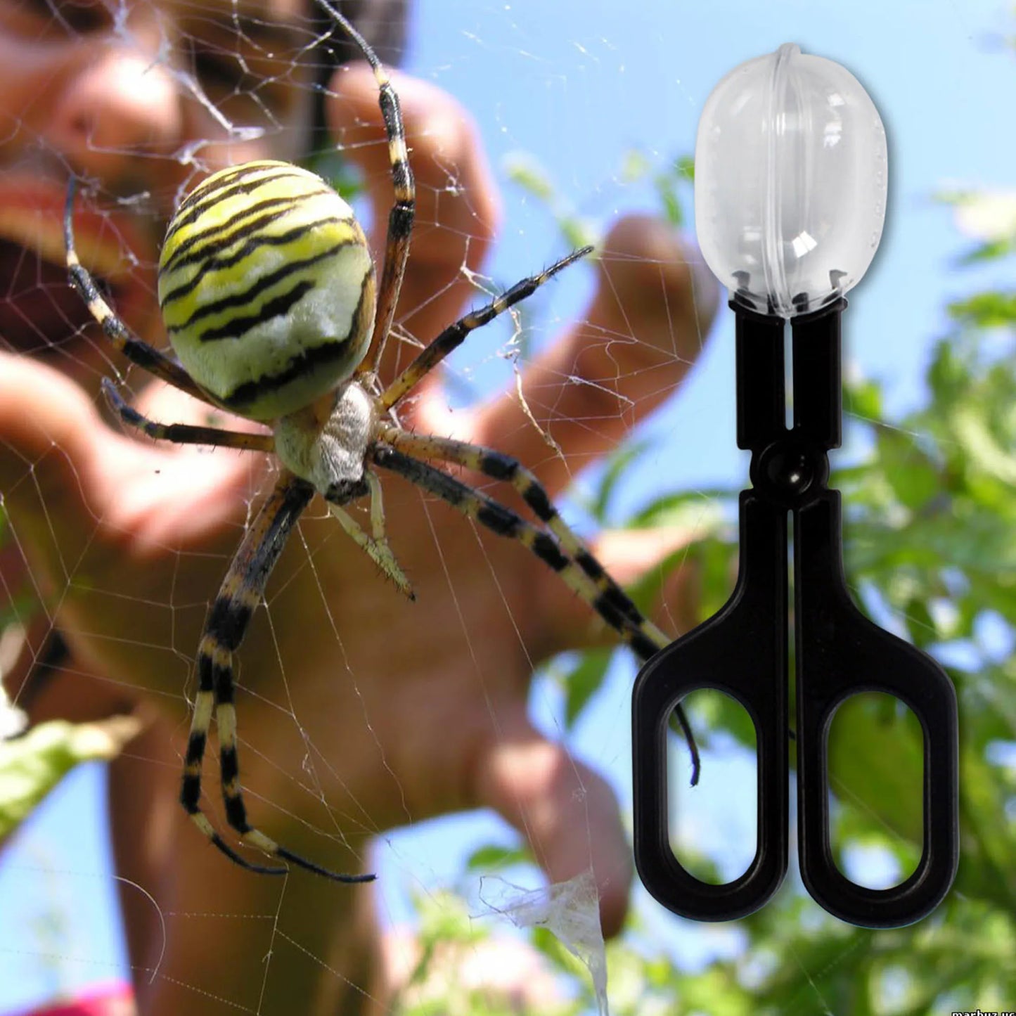 Pince à Insectes Transparente pour Reptiles – Capture Vivante, Plastique ABS, Tortue & Lézard