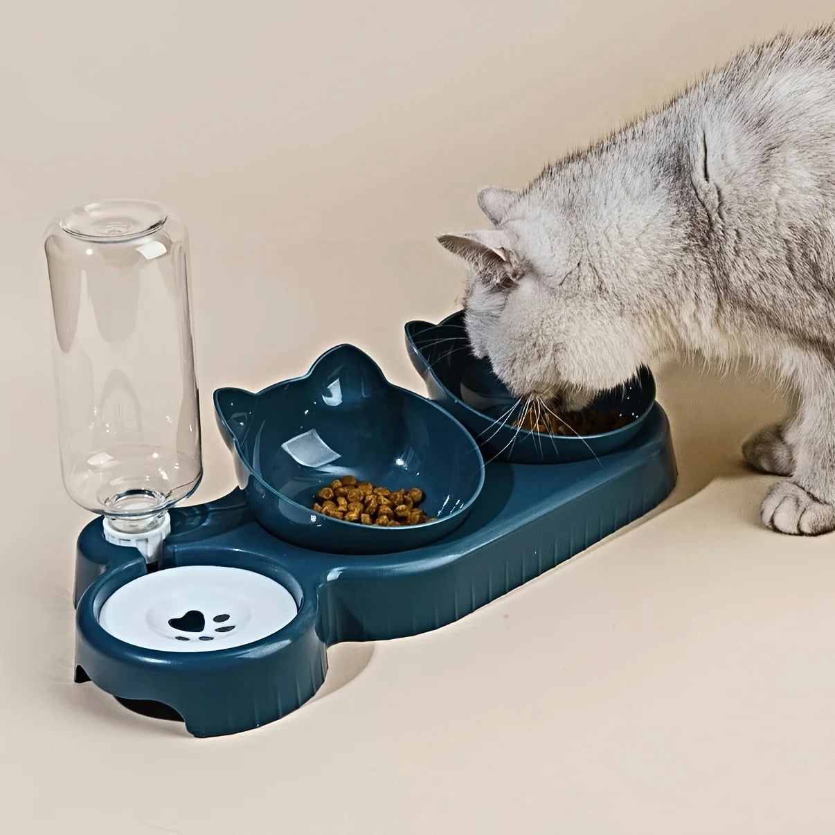 Ensemble 3 en 1 gamelle et distributeur d’eau pour chat