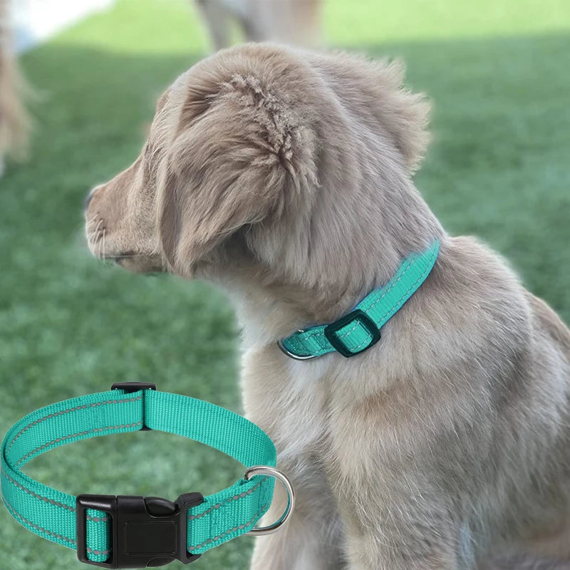Collier Réfléchissant en Nylon pour Chien – Réglable, Visible de Nuit, 7 Couleurs, S à XL