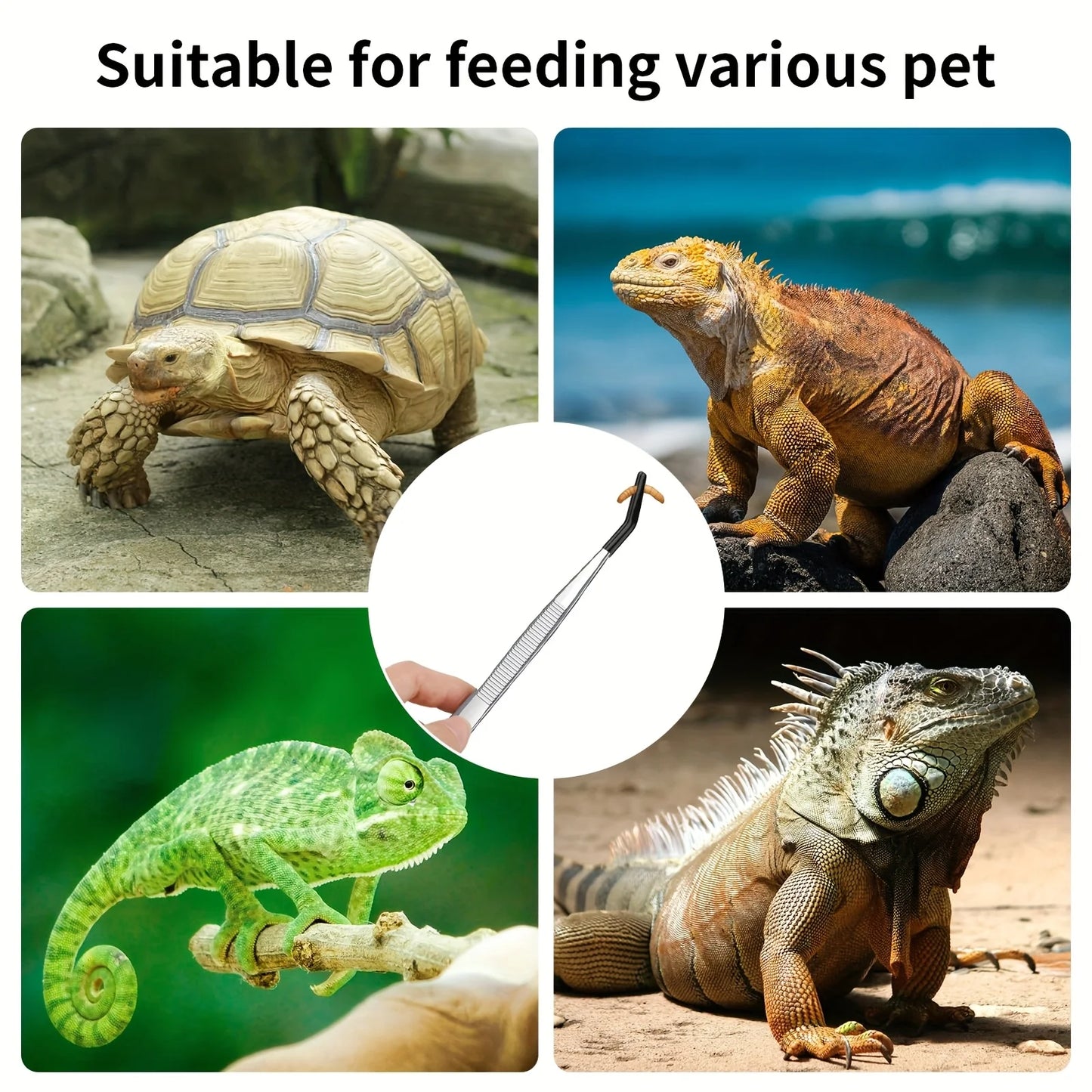 Pince d'Alimentation Inox pour Reptiles – Plate ou Courbée, 27 cm