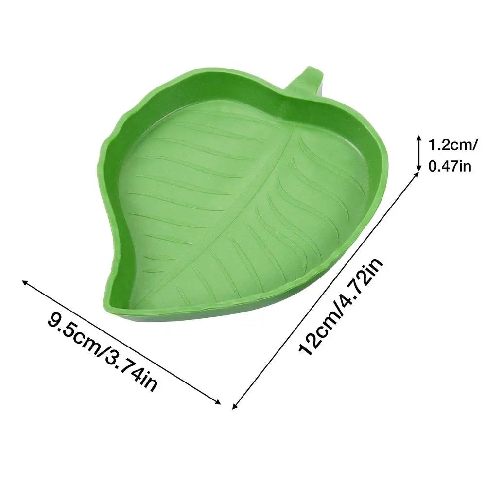 Gamelle en Forme de Feuille pour Reptiles – Eau & Nourriture, PP, S / L