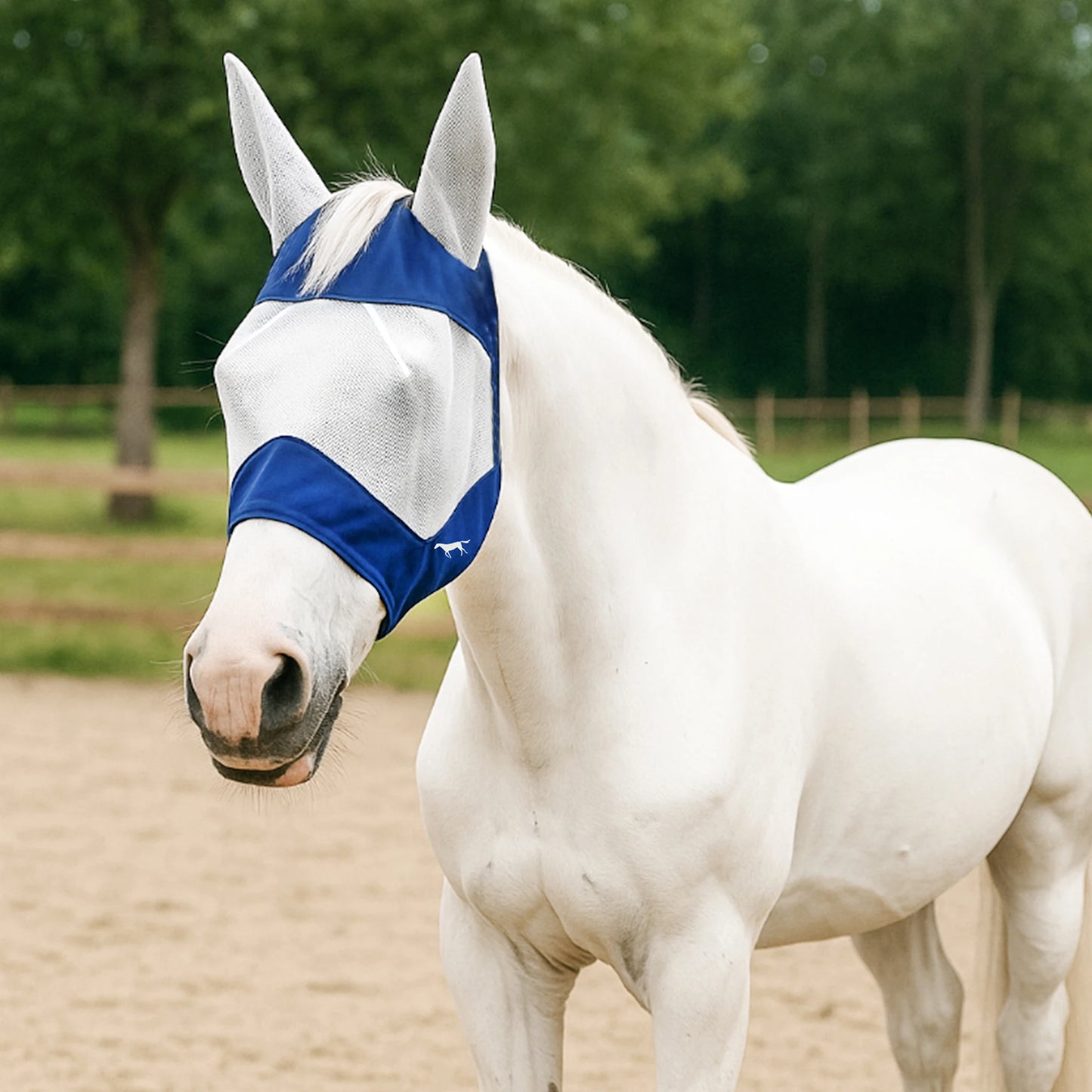 Cagoule de protection pour cheval – Anti-mouches, vent et sable (4 saisons)