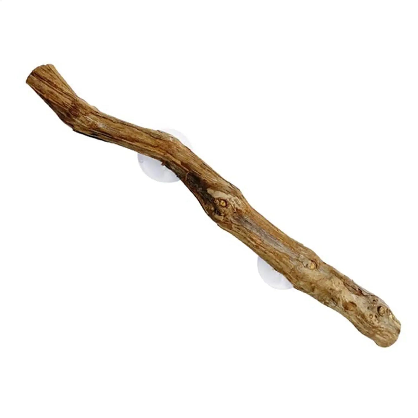 Branche d'Escalade en Bois de Vigne pour Reptiles – Décor Naturel Terrarium