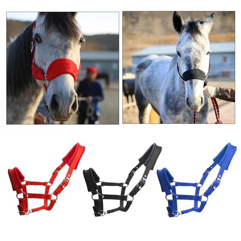Licol Rembourré en Nylon pour Cheval & Poney – Double Polaire, Réglable, S / M / L