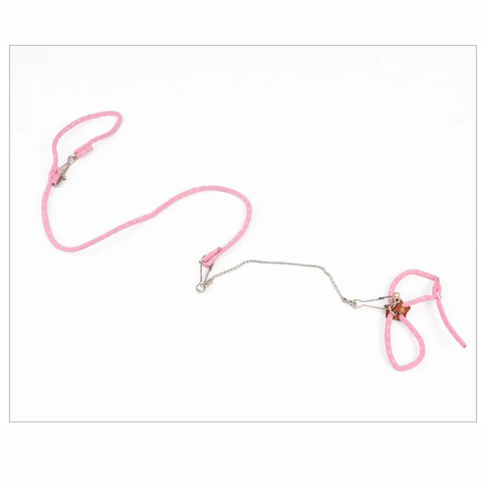 Harnais & Laisse Souple pour Petits Animaux – Avec Clochette