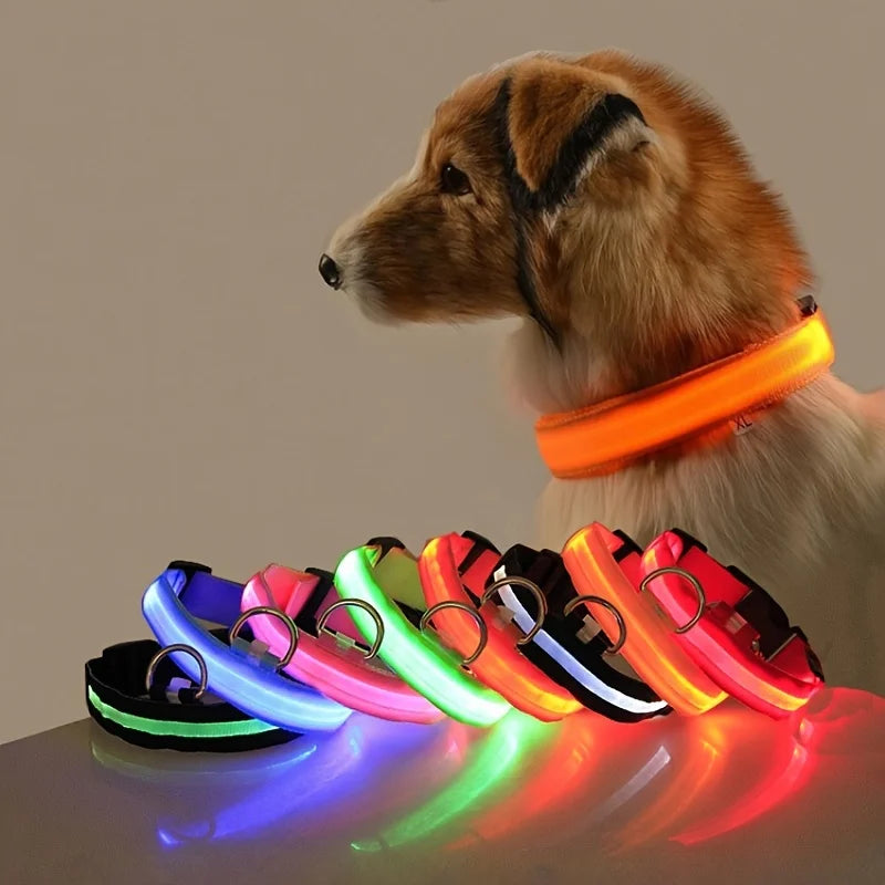 Collier LED Fluorescent pour Chien — Sécurité Nocturne, Nylon, 7 Coloris