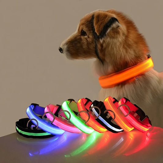 Collier LED Fluorescent pour Chien — Sécurité Nocturne, Nylon, 7 Coloris