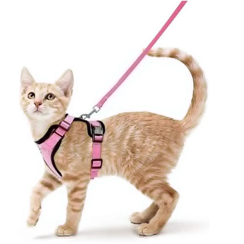 Kattenharnas en -riem, zacht en verstelbaar ontsnappingsbestendig vesttuigje voor katten, EasyControl