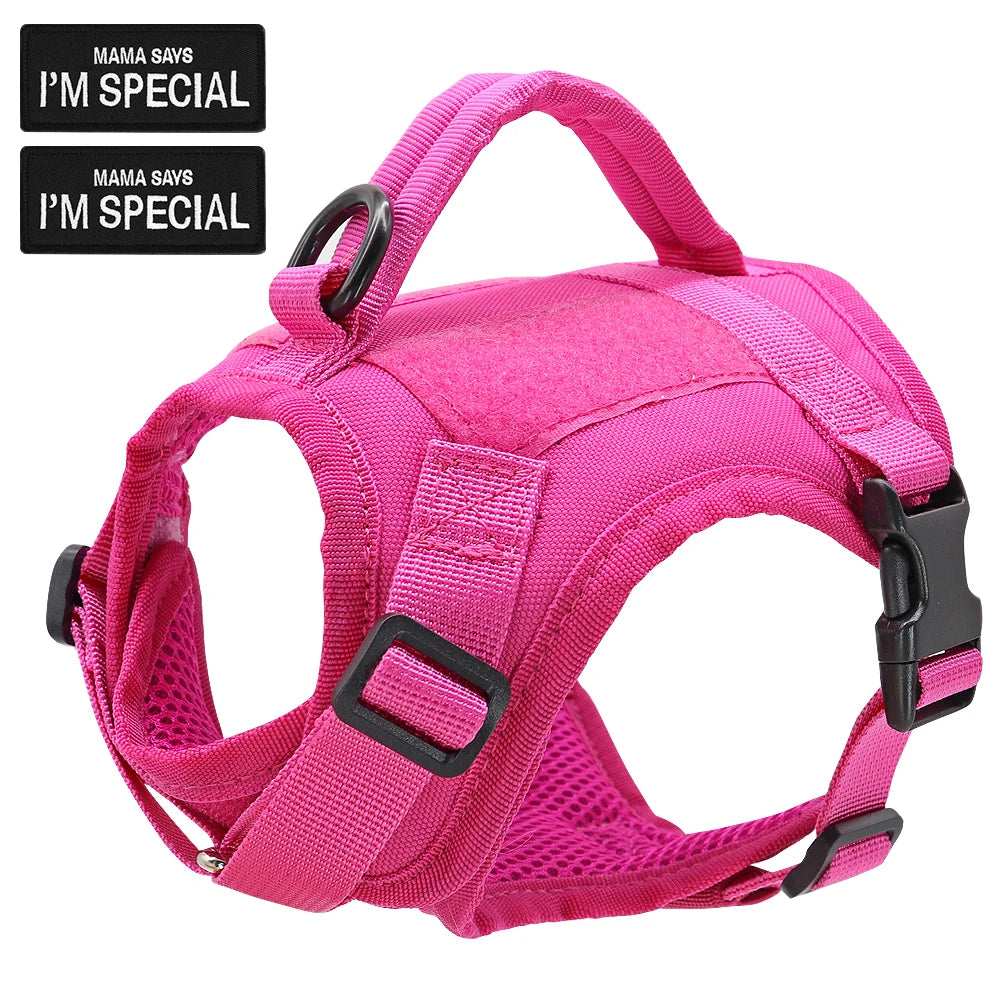 Harnais Tactique en Nylon pour Chat & Petit Chien – Avec Poignée