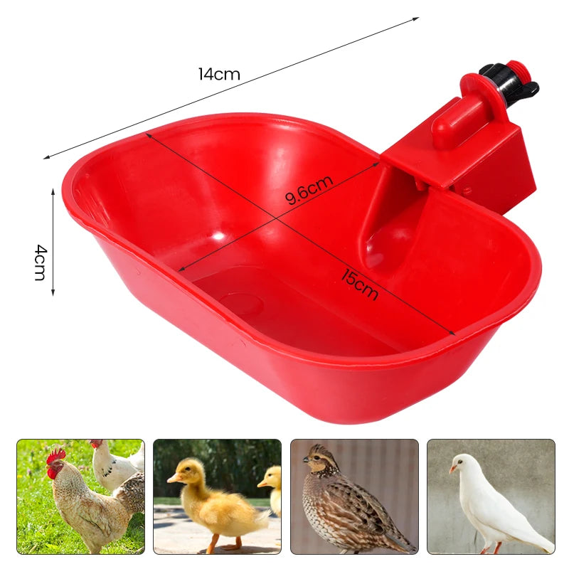 Abreuvoir Automatique pour Volailles – Lot de 3, 6 ou 10 Pièces