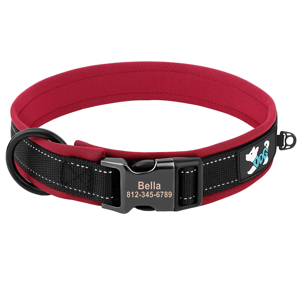 Collier pour Chien Personnalisable | Réfléchissant, Rembourré & Médaille Gravée Offerte