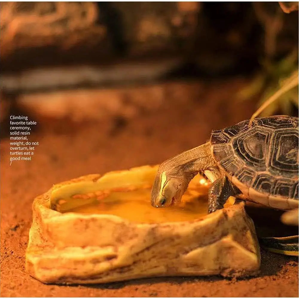 Bol Imitation Roche en Résine pour Reptiles – Terrarium